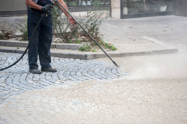 Animal Enclosure Cleaning in Howell, MI